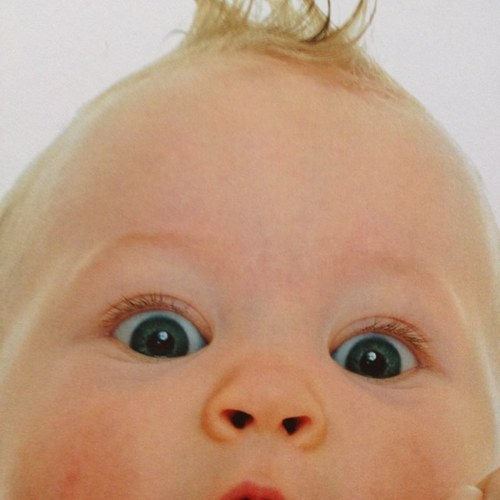 Peuterprogramma en dagopvang in Horn; 5 dagen per week van 6.30- 18.30 uur; Bobo kindercentra