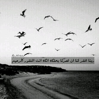 كوت تويت عندما تكون هناك صوره نساء اعتذر عن ذلك ♡..