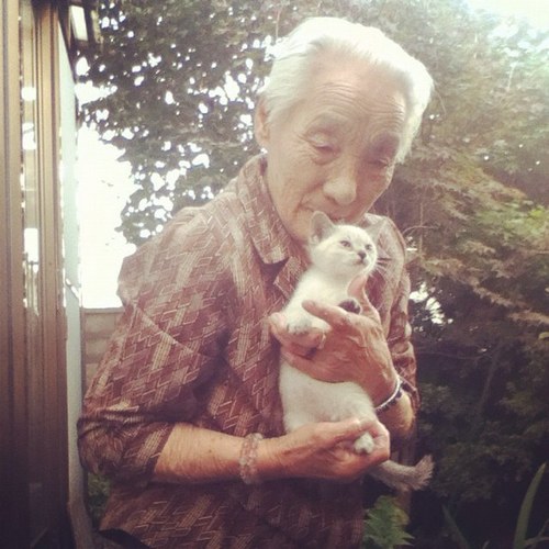 andwool's profile picture. 『縫う・織る・紡ぐ』で、物作りしてます。アイコンは猫好きな北海道の祖母。 夫と愛猫メイ♀（2005.3〜2024.10.11）トイ♀と暮らしてます。 猫・羊・縫い物・ホームスパン・冷えとり・珈琲・山歩き・海外ドラマ。 フォローアンフォローお気軽に〜。