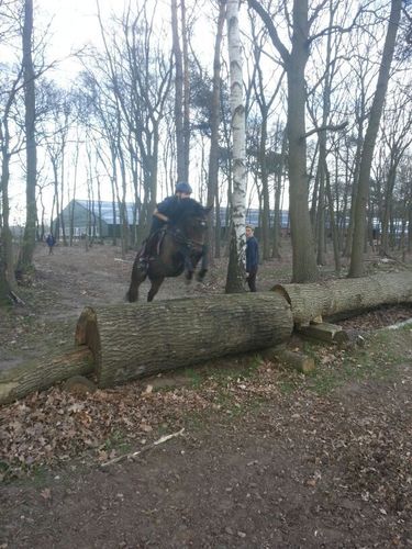 Twente Enschede!