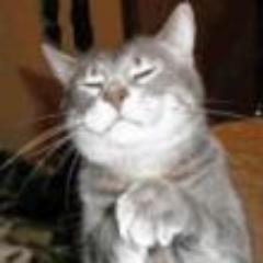 kwame_96's profile picture. Never been convicted of gunrunning, only indicted. And it was for running guided missiles, sheeesh. 
I may have low self-esteem but I'm not a dweeeb