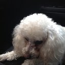 Rosa María Segundo - @ratillasegundo - Twitter