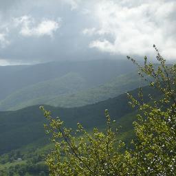 site du #trail running #entrainement #montagne, forum consacré au trail, au matériel. Venez partager votre passion du trail, de la course en montagne