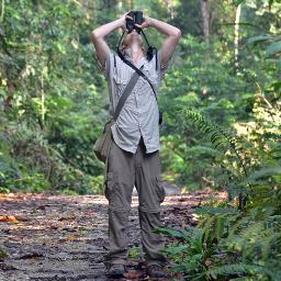 Consultant Ornithologist, UK & World Birding, Bird Tour Guide, York Area Birder, Ubud Bali Birder, Nature, Cricket, Books, The Boss, CSK, Country Music