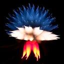 Glenn Leonard - @GlennLeonard8 - Twitter