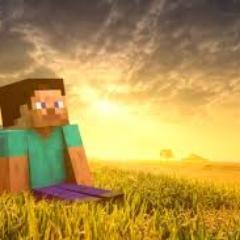me encanta minecraft tengo todas las series de willy es mi primer fan junto al rubius