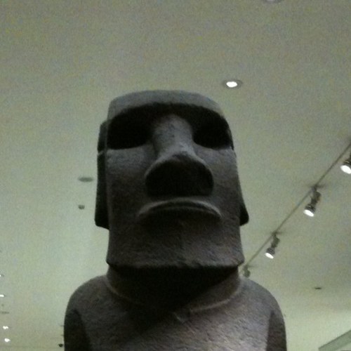 cohenbarbarian's profile picture. 