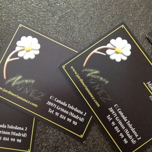 Decoramos tu ilusion Ramos de novia, Decoracion de iglesias y eventos. Trabajos de jardineria y Poda en altura