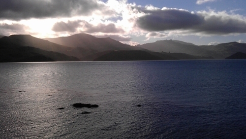 yvedas's profile picture. Go #Vegan #fortheanimals "When you do you stop taking what was never yours." by @labelvsocial