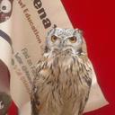 richard eley - @eley_richard - Twitter