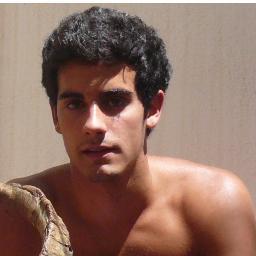 Ingeniero de Montes