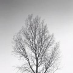 sketsasampai's profile picture. media edukasi & informasi tentang seni musik INDIE & seni luki,grafis,dll.                We're support you !!!!!!!