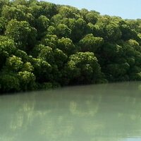 شيوم بنت جزيرة فرسان (@shimaa37747) 's Twitter Profile