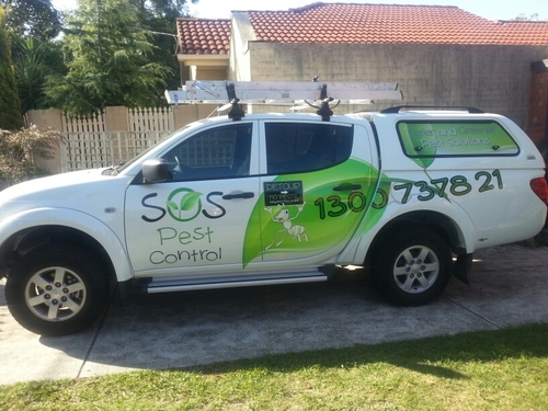 SOS Pest Control offers safer and greener bee, cockroach, mice, rodent, termite and rat pest control, inspection and removal services in and around Melbourne.