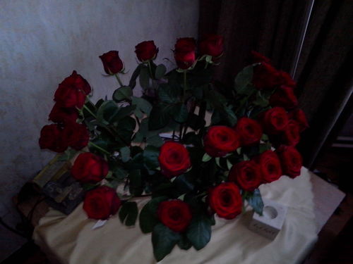 tismewim's profile picture. 