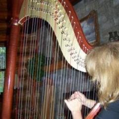 sharonwiddowsBC's profile picture. She/Her/Hers - Elementary Principal, SD 75 Mission - PhD candidate SFU, musician. Tireless advocate for arts in education/equity and inclusion through the arts.