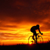 Peter Norbury (@peternorbury) Twitter profile photo