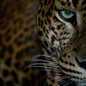 albkre2's profile picture. 