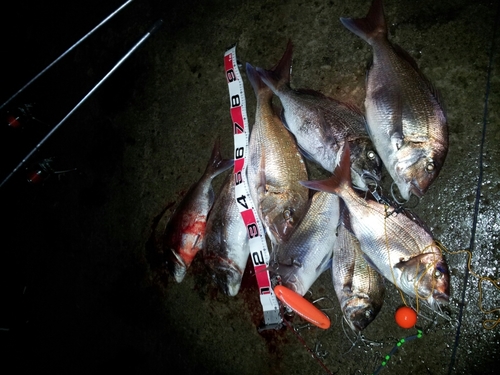 仕事は全くやる気がない。
趣味は農業、釣り。
釣りが趣味でも船に酔う。
魚を釣っても魚が嫌いなので魚を食べれない。
釣りを始めたきっかけがわからないけど青森県下北半島周辺で釣りを楽しんでます。