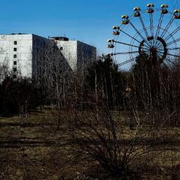 Twitter del Blog Postapocalipsis2015, Diario de un Superviviente