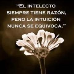 Lolidpalma's profile picture. 