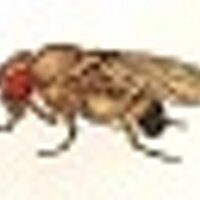 Tauber Lab (@tauberlab) 's Twitter Profile