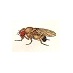 Tauber Lab (@tauberlab) Twitter profile photo Tauber Lab (@tauberlab) Twitter profile photo