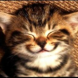 BecCastle5's profile picture. 