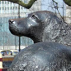 The_London_Dog's profile picture. Blessings on thee, dog of mine