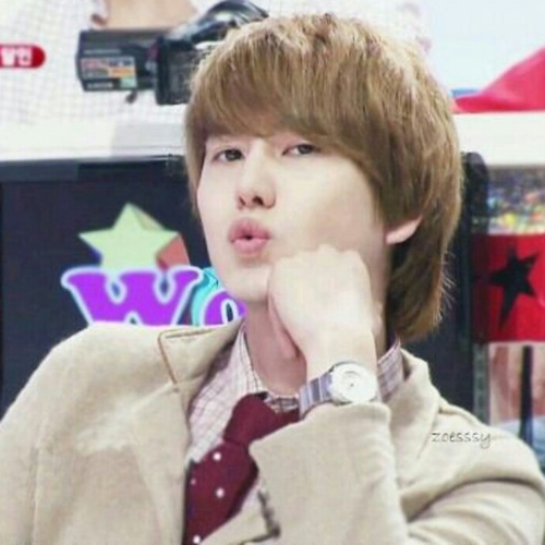 Cho Kyuhyun bot   / follow...@ bye...block 　　　　　僕の嫁…@gyugyug_bot