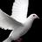 Philo2Vie's profile image