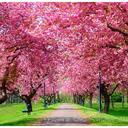 shannon deaton - @shannon9002 - Twitter