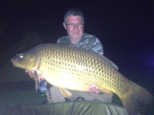 Dryliner and ceiling fixer and also carp angler