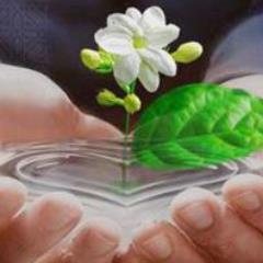 AlmaktaryN's profile picture. قال الله جل وعلا ( ولتكن منكم أمة يدعون إلى الخير ) 

كلما مررتم هنا اجعلو لـ أبي واخي من دعائكم نصيب ليرد عليك ملك ولك بالمثل 
اللهم ارحم جميع المسلمين