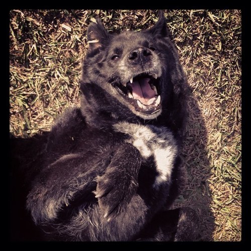 Gravity33Cara's profile picture. 