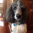 Mary Quist - @marr2aq - Twitter