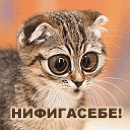 ВНИМАНИЕ!!! 18+!!! #Шутки и #приколы могут содержать легко #эротические сцены и содержать ненормативную лексику. Анонсы на #конкурсы в Интернете и не только!