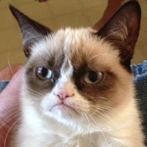 Hello, I am Tard. I don't like you.
Note: This chanel is completly clean
:)
