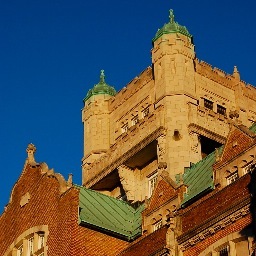 AT program at Concordia University. Updates on events, deadlines, and news of the program.