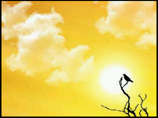 tomnutlovediiz's profile picture. ☺