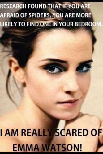 haaan17's profile picture. سوداني اصيل