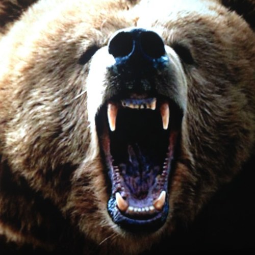 abogaphh_ver's profile picture. Felizmente Casado,,,,,,,,,, Tlaxcalteca de nacimiento pero Jarocho por Adopcion,,,,🎾