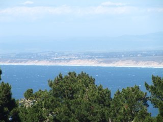 WillyPlieger's profile picture. 