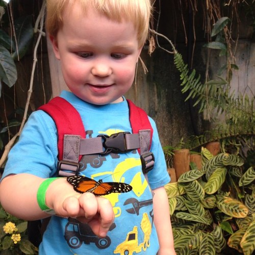 rhiannonBIO's profile picture. Mom, scientist and everything in between