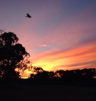 mummakj's profile picture. 