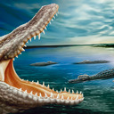 Joao Evora - @Jondbetha - Twitter