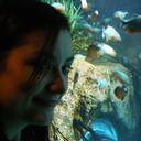 Lara Cooley - @laracooley - Twitter