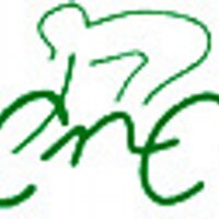 Begoña Ruiz (@begoaruiz2) 's Twitter Profile