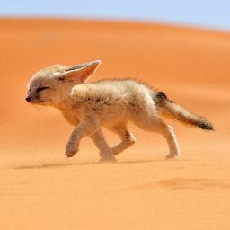 resystencya's profile picture. https://t.co/I3jTuzgBoh