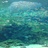 あきいろふわり